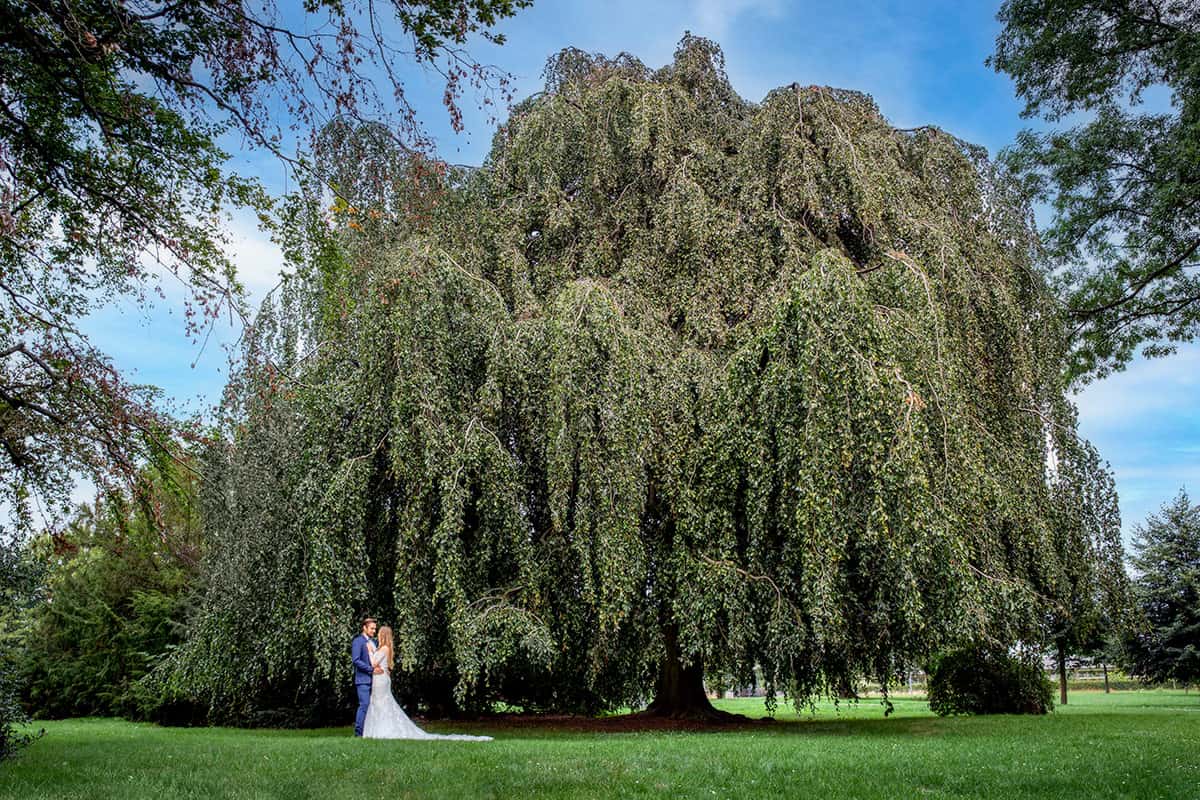 hochzeitsfotograf dortmund